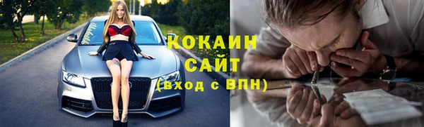 прущие грибы Баксан