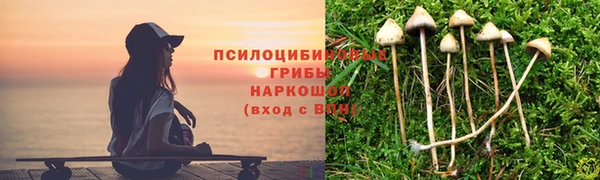 скорость Белокуриха