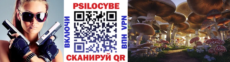 Галлюциногенные грибы Psilocybine cubensis Малмыж